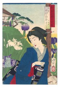 Yoshitoshi / Twelve Months with the Pride of Tokyo / The Fifth Month: Iris at Horikiri [東京自慢十二ヶ月　五月 堀切の菖蒲]