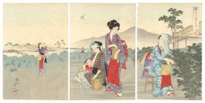 Chikanobu / The Twelve Months / April [十二ヶ月の内　卯月]