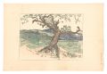 Compendium of Japan / No. 24: ......
