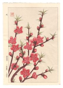 Kawarazaki Shodo / Floral Calendar of Japan / Peach