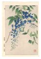 Floral Calendar of Japan / Wis......
