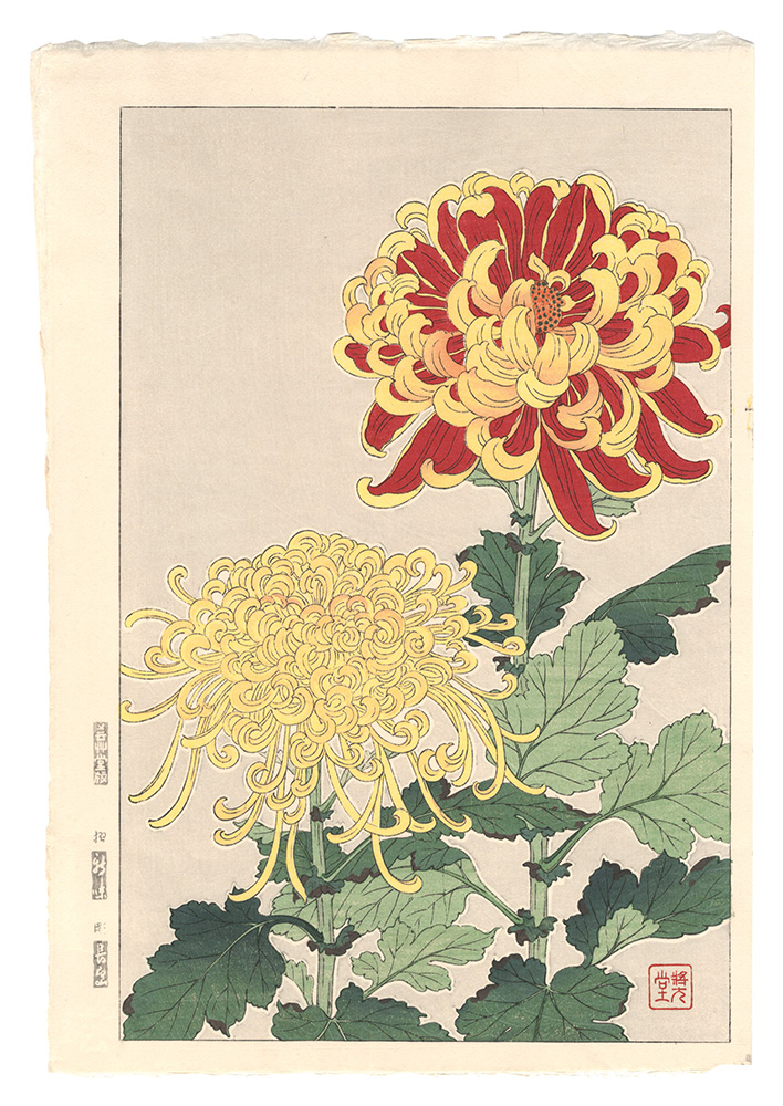 Kawarazaki Shodo “Floral Calendar of Japan / Chrysanthemum”