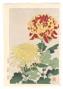 Kawarazaki Shodo / Floral Calendar of Japan / Chrysanthemum