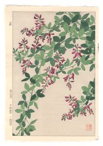 Kawarazaki Shodo / Floral Calendar of Japan / Bush Clover
