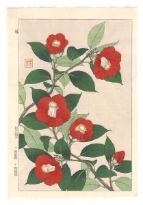 Kawarazaki Shodo / Floral Calendar of Japan / Camellia