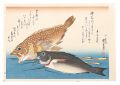A Series of Fish Subjects / Sc......