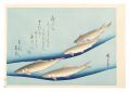 A Series of Fish Subjects / Sw......