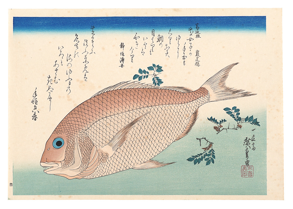 Hiroshige I “A Series of Fish Subjects / Sea bream and Japanese pepper【Reproduction】”