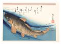 A Series of Fish Subjects / Ca......