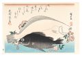 A Series of Fish Subjects / Fl......