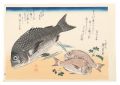 A Series of Fish Subjects / Bl......