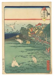 Yoshitoshi / Fifty-three Stations of the Fan / Oiso [末広五十三次　大磯]