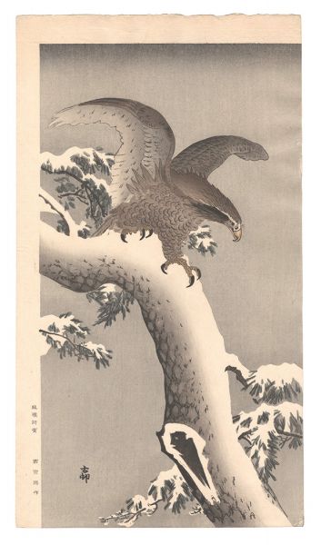 Ohara Koson(Shoson) “White-tailed Eagle on Snowy Pine Branch”