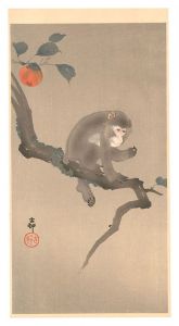 Monkey in Persimmon Tree