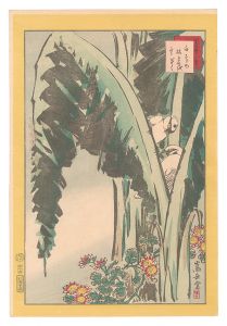 Sugakudo / Forty-eight Hawks Drawn from Life / No. 44: White Sparrows, Withered Banana Leaves, and Winter Chrysanthemum [生写四十八鷹　四十四　白すゞめ 枯ばせを 寒ぎく]