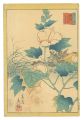Thirty-six Selected Flowers / ......