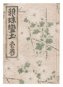 「邪珠蛮土　壱巻」深沢索一編