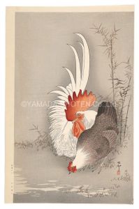 Rooster and Hen (tentative title)