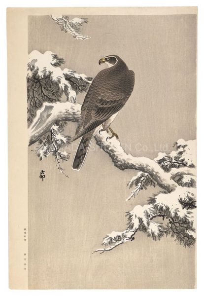 Ohara Koson(Shoson) “Eagle in Snow (tentative title)”