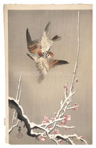 Ohara Koson(Shoson) / Sparrows and Snow-covered Plum Branch (tentative title)