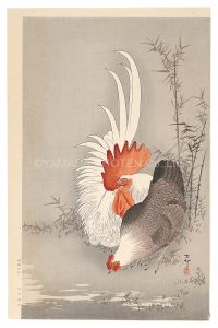 つがいの鶏（仮題）
