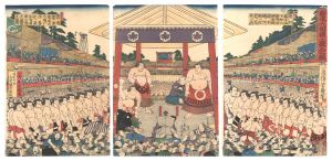 Procession of Sumo Wrestlers for Fund-raising Tournament
