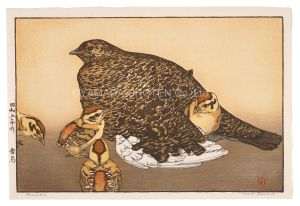 吉田遠志「雷鳥」