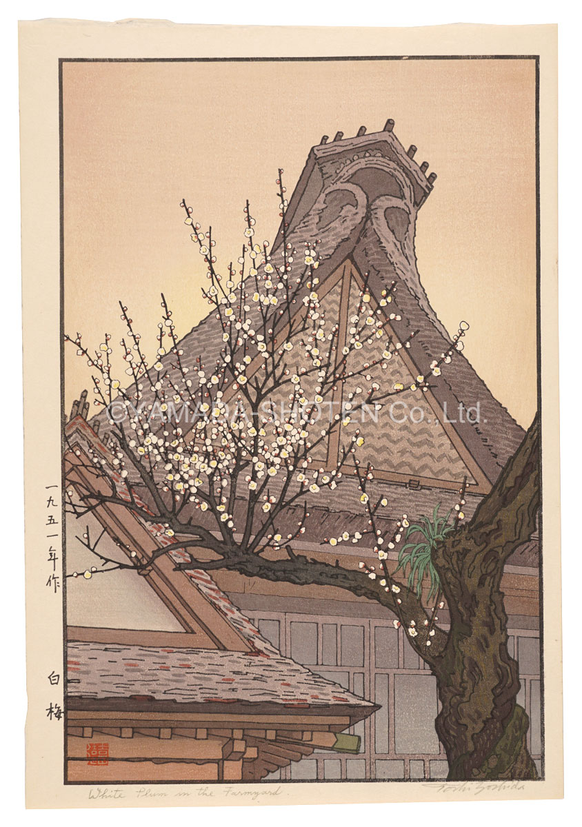 吉田遠志「白梅」