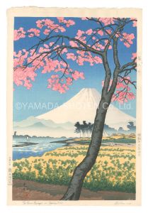 The River Banyu in Spring time