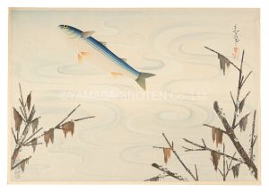 大野麥風「大日本魚類画集　ボラ」