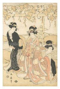 <strong>Shunsen</strong><br>Beauties
