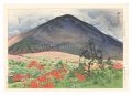 Ten Views of Shinano / Tsutsuj......