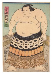 Sumo-e: Onogawa Saisuke from Chikugo Province