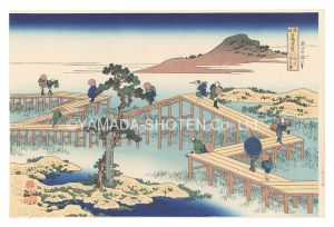 Hokusai / Remarkable Views of Bridges in Various Provinces / Old View of the Eight-part Bridge at Yatsuhashi in Mikawa Province【Reproduction】 [諸国名橋奇覧　三河の八つ橋の古図【復刻版】]