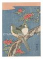 Hibiscus and Birds【Reproductio......