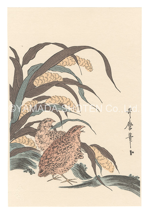 Utamaro “Quail and Millet【Reproduction】”