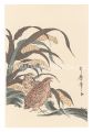Quail and Millet【Reproduction】