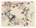 Swallows and Cherry Blossoms【R......