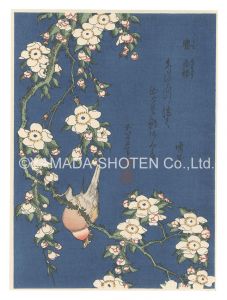 Hokusai / Bullfinch and Weeping Cherry【Reproduction】 [鷽 垂桜【復刻版】]