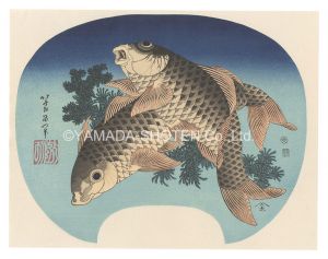 Hokusai / Carp【Reproduction】 [鯉【復刻版】]