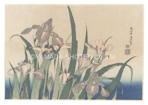 Hokusai / Irises and Grasshopper【Reproduction】 [杜若にきりぎりす【復刻版】]