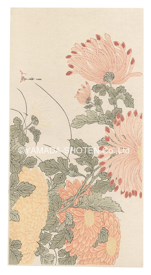 Shunsho “Chrysanthemums【Reproduction】”