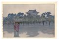 Twelve Scenes of Tokyo / The o......