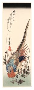 Hiroshige I / Golden Pheasant and Fern Shoots【Reproduction】 [わらびと金鶏鳥【復刻版】]