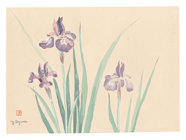 小栗美二「萬華画譜　かきつばた」