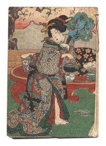 Unknown / Enshoku Hana no en [艶色花の宴]