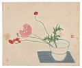 Red Poppy