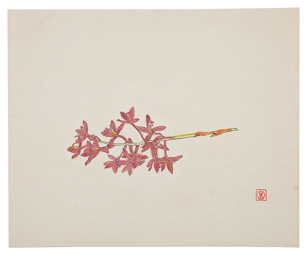 富本憲吉「陶画集より　蘭花」