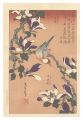 Java Sparrow on Magnolia 【Repr......