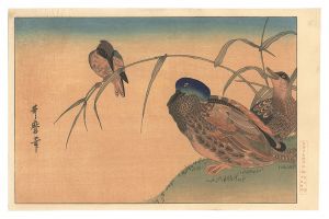 Utamaro / Mallard Ducks and Kingfisher【Reproduction】 [鴨 翡翠【復刻版】]